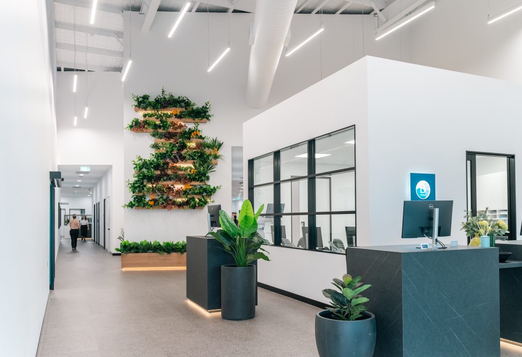 greenery in medical practice